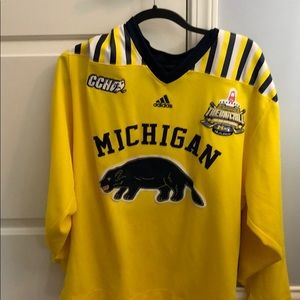2010 Michigan Big Chill Hockey Jersey